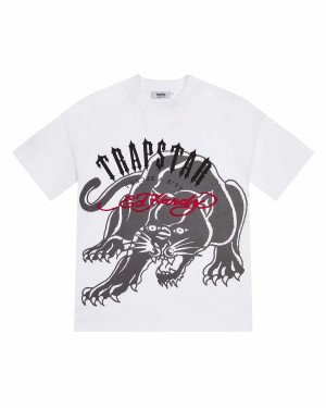 White Trapstar X Ed Hardy Arch Men's T-shirts Canada | XNVTE-9602